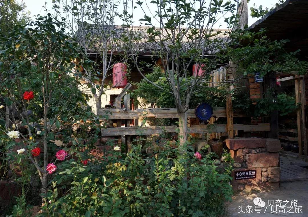 连云港云台山和花果山哪个值得去,连云港花果山云台山攻略