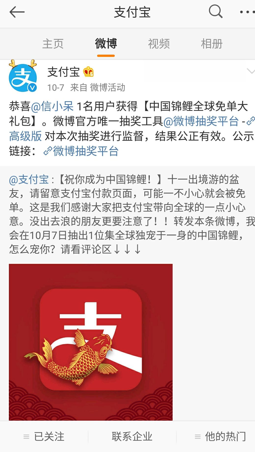 支付宝锦鲤多少钱一条,锦鲤热潮最新视频