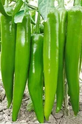 湖锦酒楼踏青季欢乐4人餐,湖锦酒楼饮食