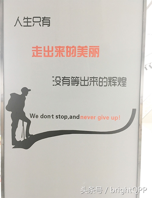 冠军金牌花型砖