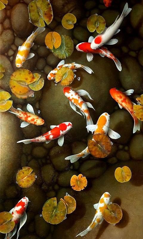 支付宝锦鲤多少钱一条,锦鲤热潮最新视频