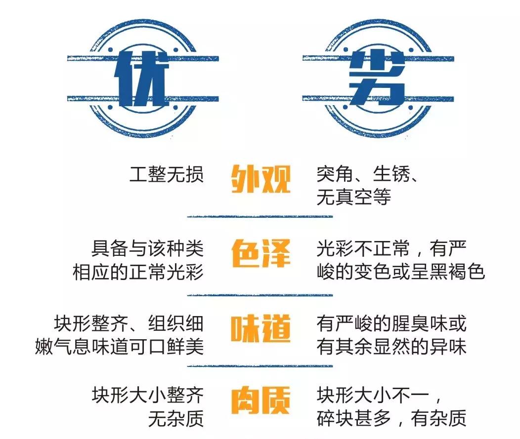 搬光了超市的所有鱼罐头,连喵星人都不想再靠近我|测评