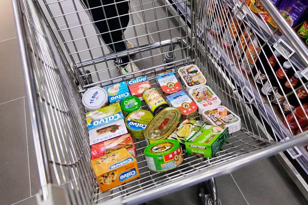 搬光了超市的所有鱼罐头,连喵星人都不想再靠近我|测评