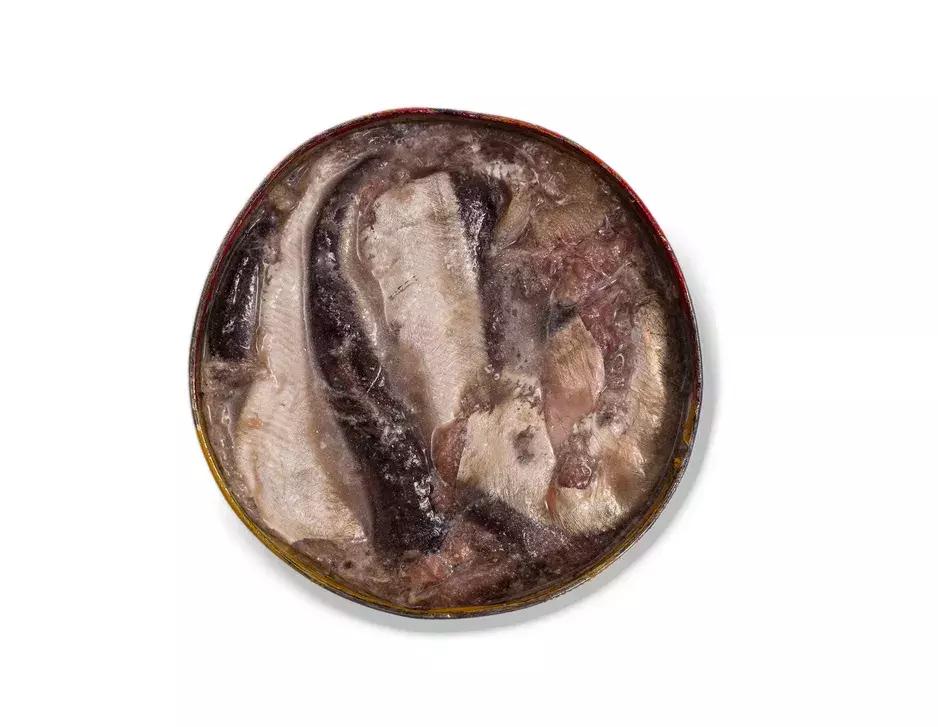 搬光了超市的所有鱼罐头,连喵星人都不想再靠近我|测评