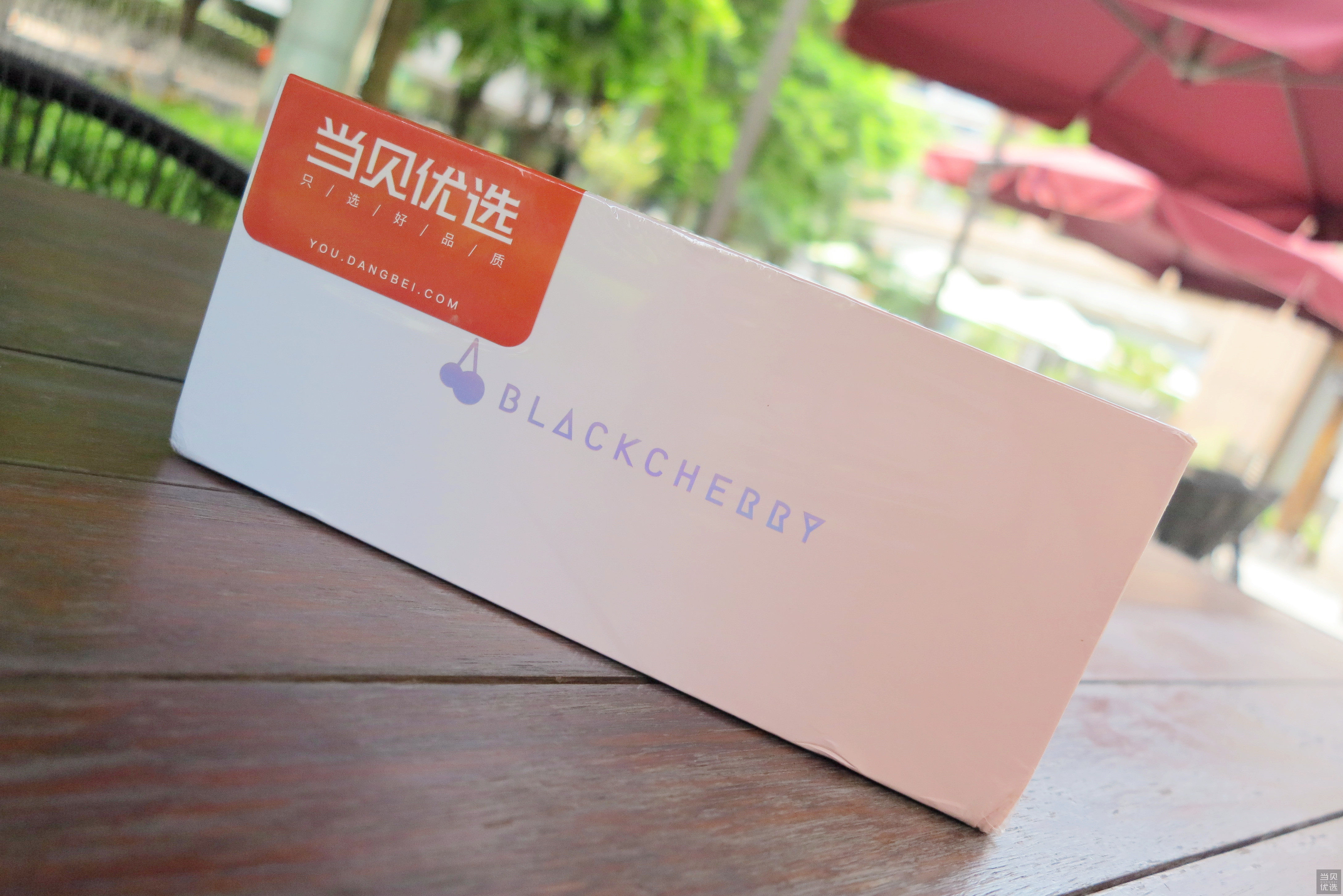 黑樱桃麦克风测评,黑樱桃麦克风