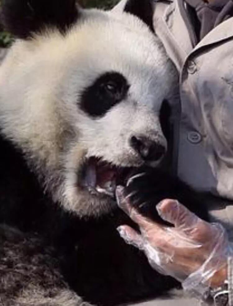 郭富城和刘嘉玲综艺,郭富城和刘嘉玲