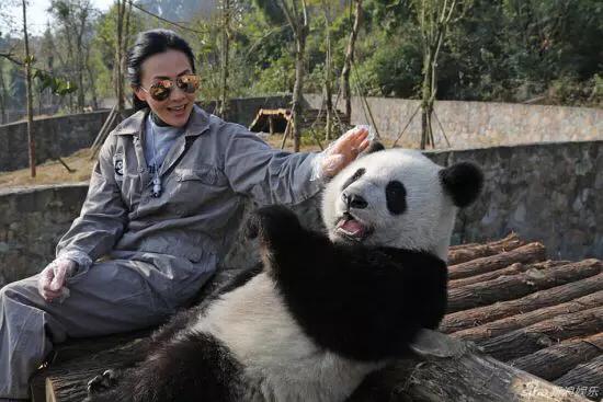 郭富城和刘嘉玲综艺,郭富城和刘嘉玲