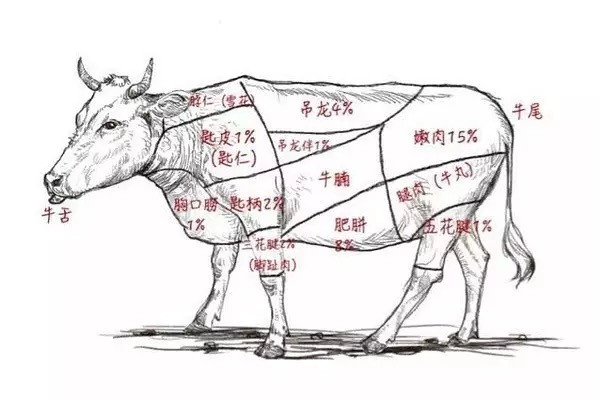 一头黄牛，出肉率仅为37%，这家潮汕牛肉火锅可谓口口珍贵！