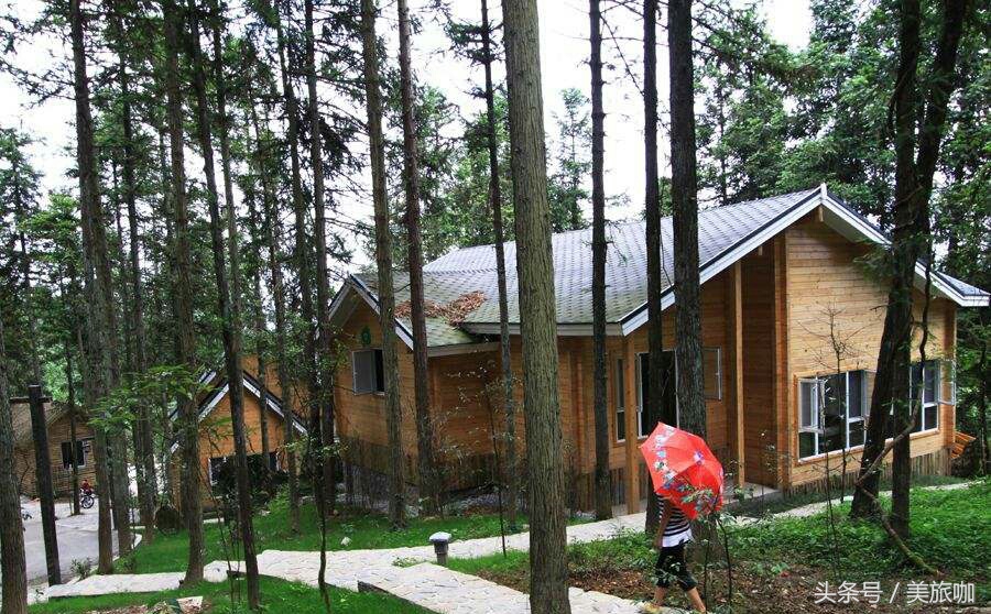 重庆旅游必去景点排名前十的地方,重庆一日游必去十大网红