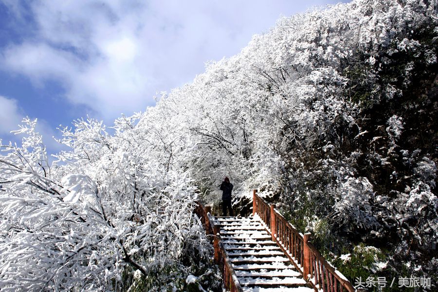 重庆旅游必去景点排名前十的地方,重庆一日游必去十大网红