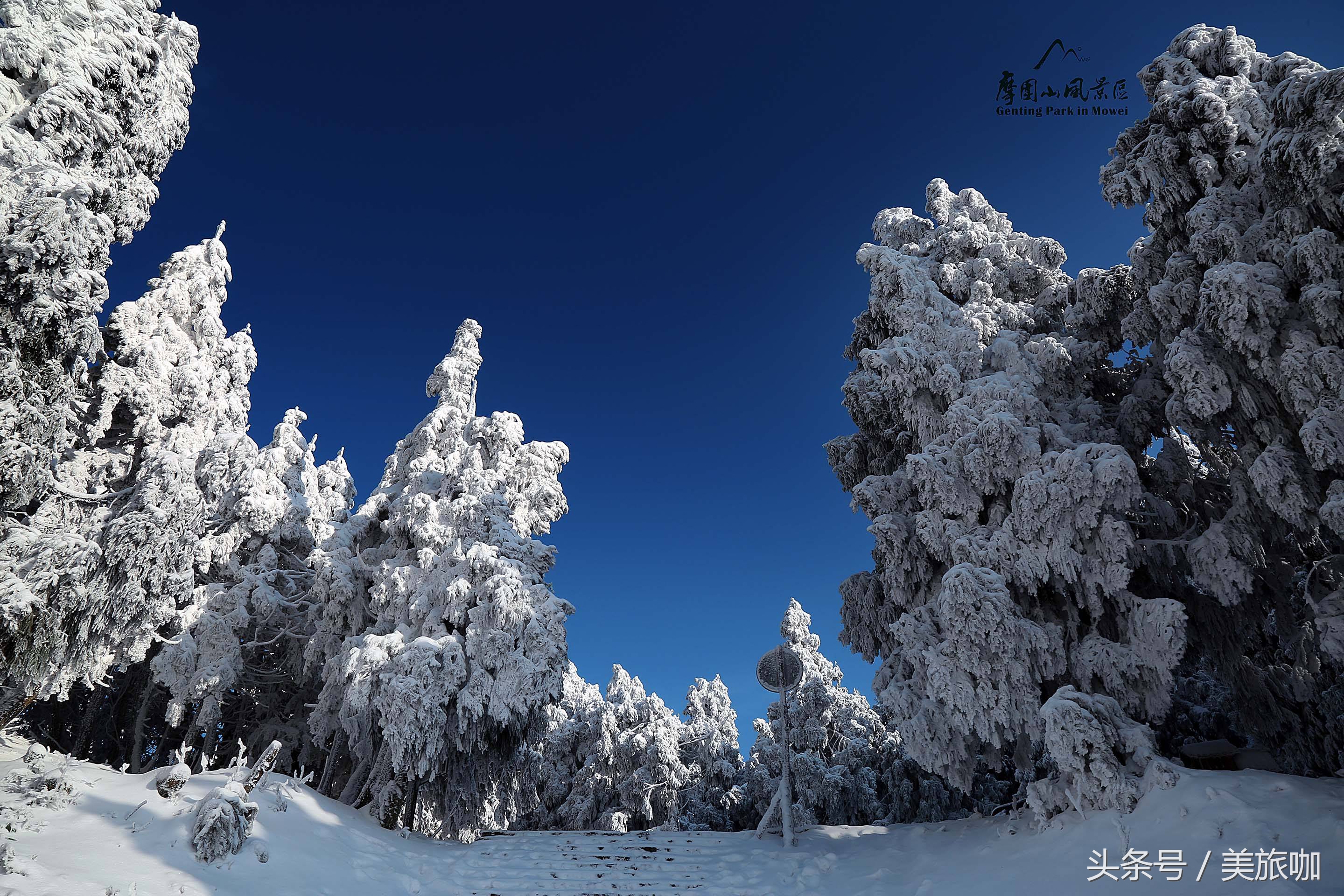 重庆旅游必去景点排名前十的地方,重庆一日游必去十大网红