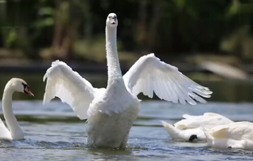 怎么写走心的文案,卖货文案怎么写才能吸引人
