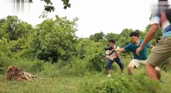 怎么写走心的文案,卖货文案怎么写才能吸引人