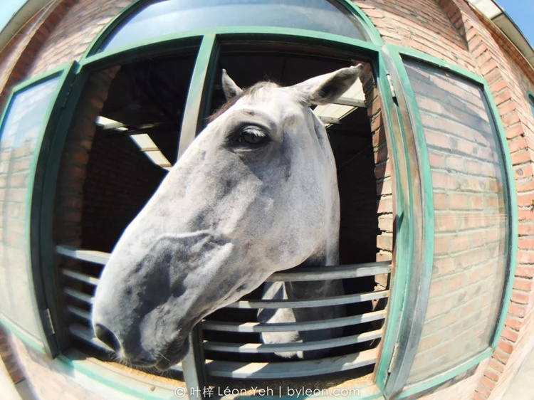 什么是圆周鱼眼镜头,鱼眼镜头是一种什么镜头