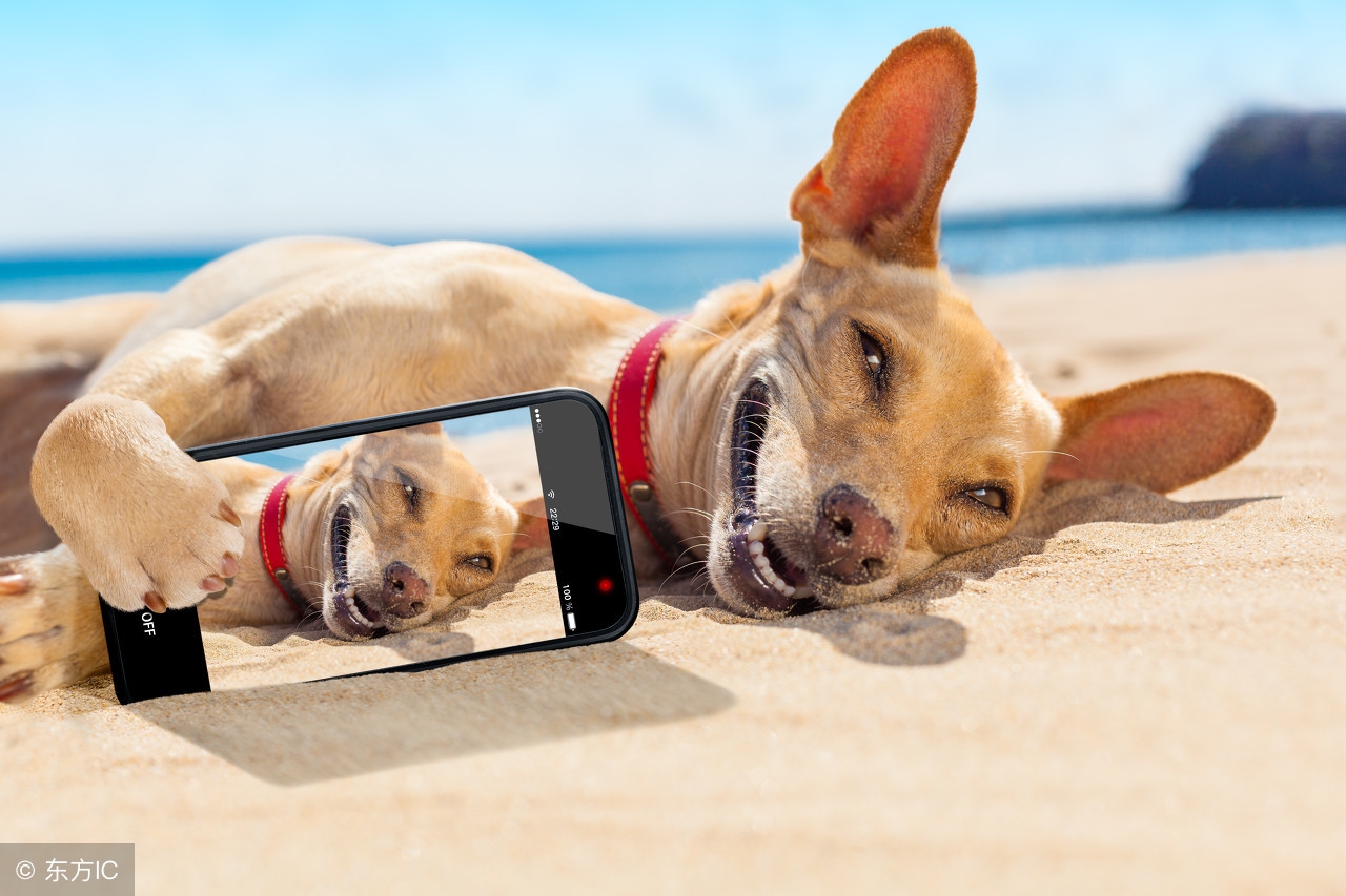 骚年，还打啥LOL撩啥妹子，大学生快速赚钱指南了解一下吧！