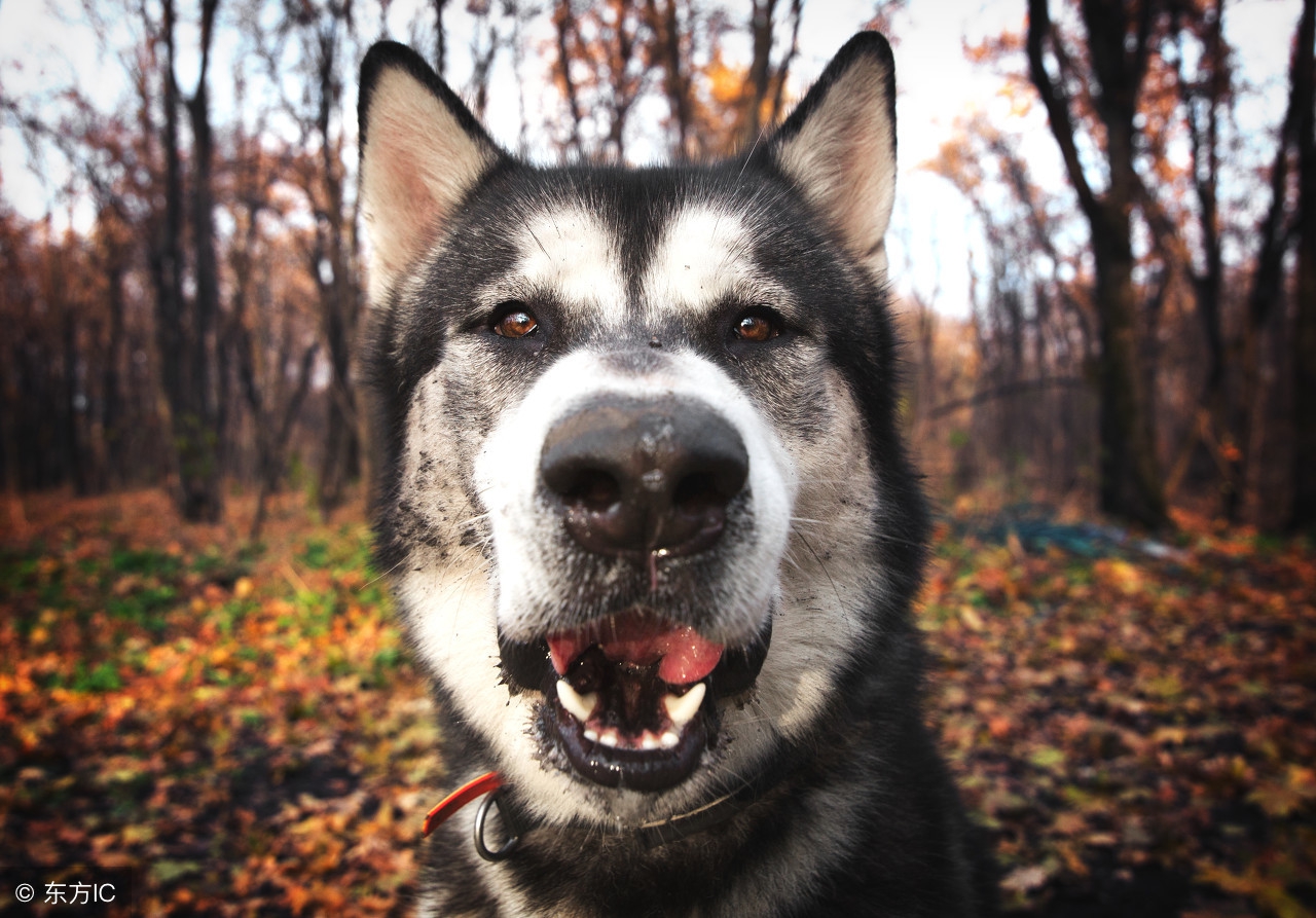 骚年，还打啥LOL撩啥妹子，大学生快速赚钱指南了解一下吧！