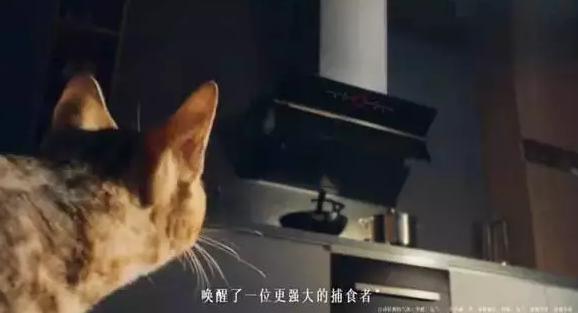 休闲反差文案,反差文案短句