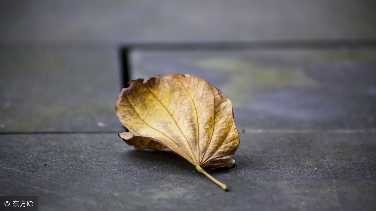 撑不下去了!一夜之间,中小交易所凉了!一个区块链创业者的口述