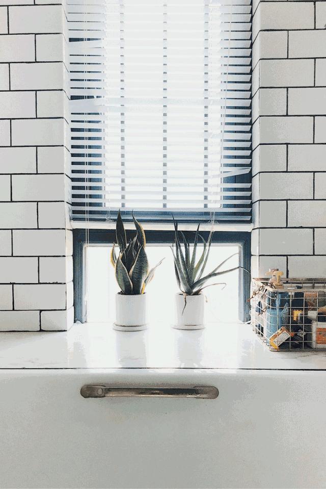 有爱和阳光是家该有的样子,有爱才有丰富的生活