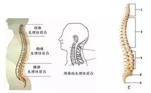 六岁女孩学跳舞下肢受伤,六岁女孩跳舞受伤导致瘫痪