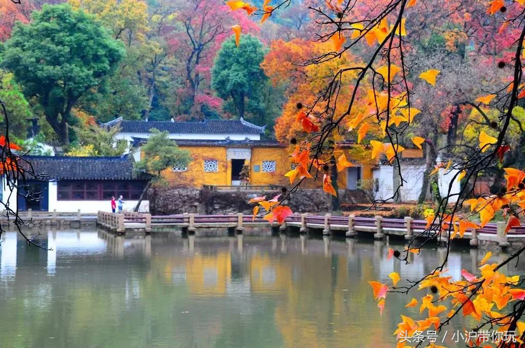 上海周边自驾免费景点推荐,上海周边一日自驾游自然风景