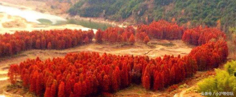 上海周边自驾免费景点推荐,上海周边一日自驾游自然风景