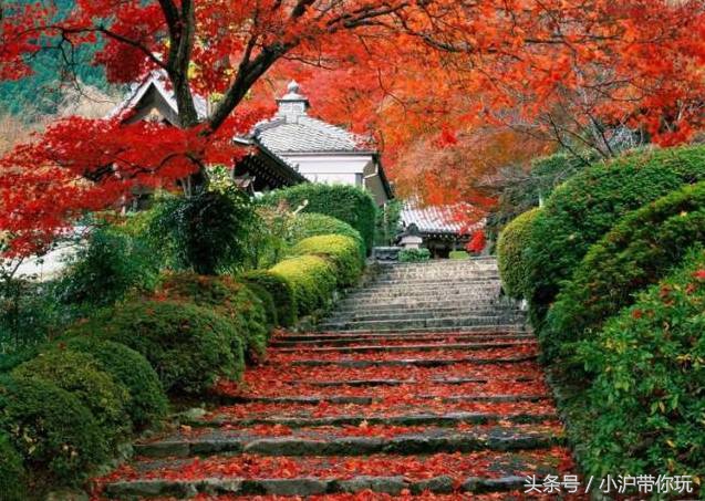 上海周边自驾免费景点推荐,上海周边一日自驾游自然风景