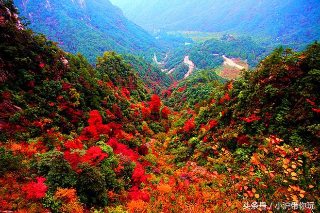 上海周边自驾免费景点推荐,上海周边一日自驾游自然风景