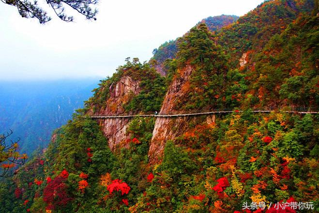 上海周边自驾免费景点推荐,上海周边一日自驾游自然风景