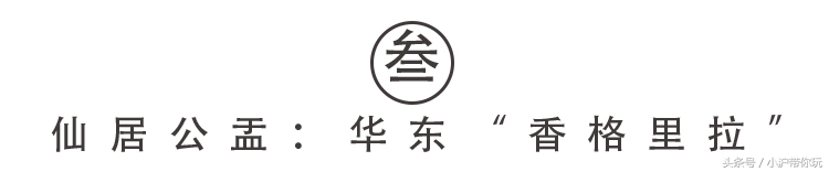 上海周边自驾免费景点推荐,上海周边一日自驾游自然风景