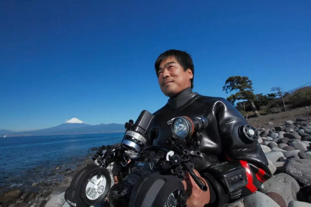 海洋探秘资料,海洋探秘鲨鱼