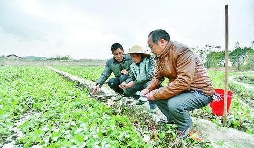 农资业务员最多一年挣多少钱,农资业务员一年赚多少钱正常