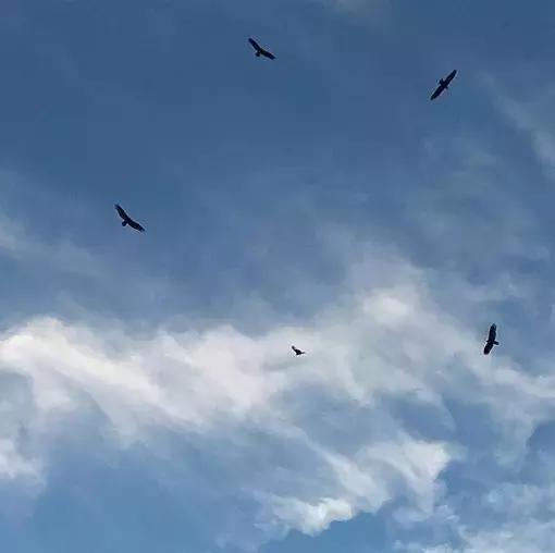 朋友圈背景图片长方形,qq空间封面背景图片大全唯美