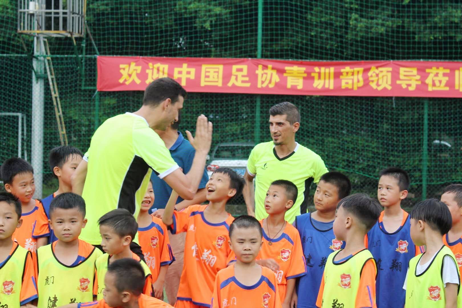 冰岛足球进步得有多快,冰岛足球普及