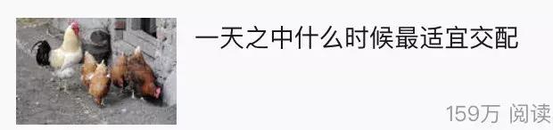 视觉之战,品牌大创意之大片的商业机制—性暗示与诱惑