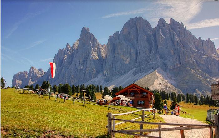 移民中介整顿,移民中介整顿最新动态