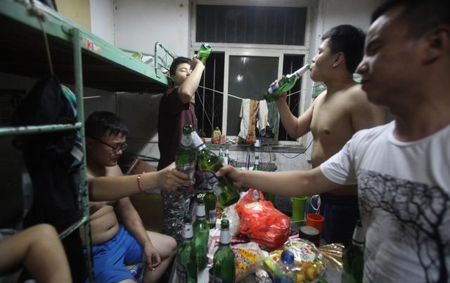 大学养猪技巧,高效养猪技巧