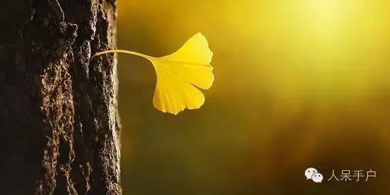 秋天到底是什么颜色的呢,秋天和秋雨是一种什么样的颜色