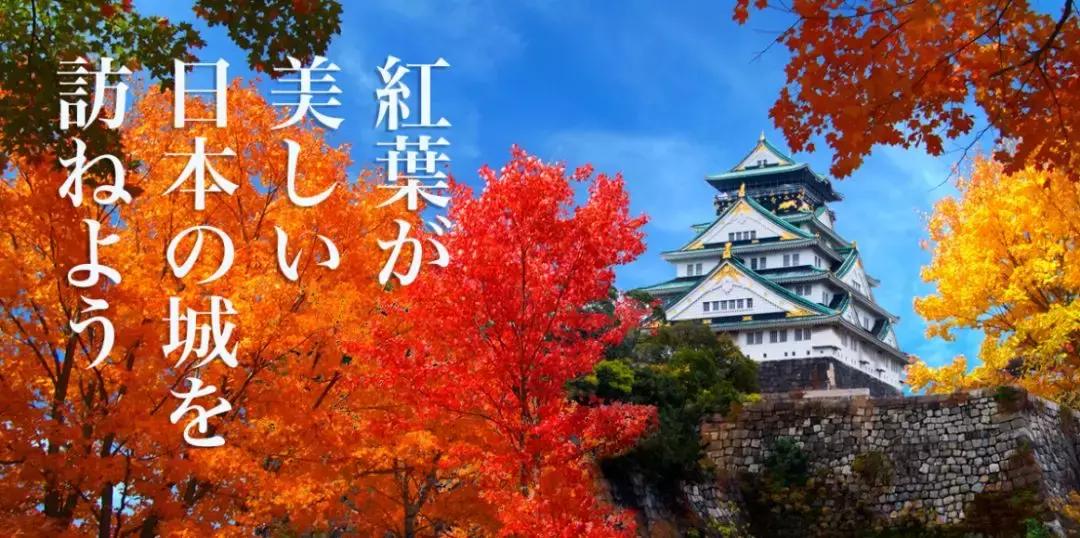 东京和北海道哪里旅游好一点,东京和北海道哪里旅游便宜