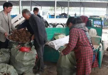 中国药行深似海 (深入药行深似海)