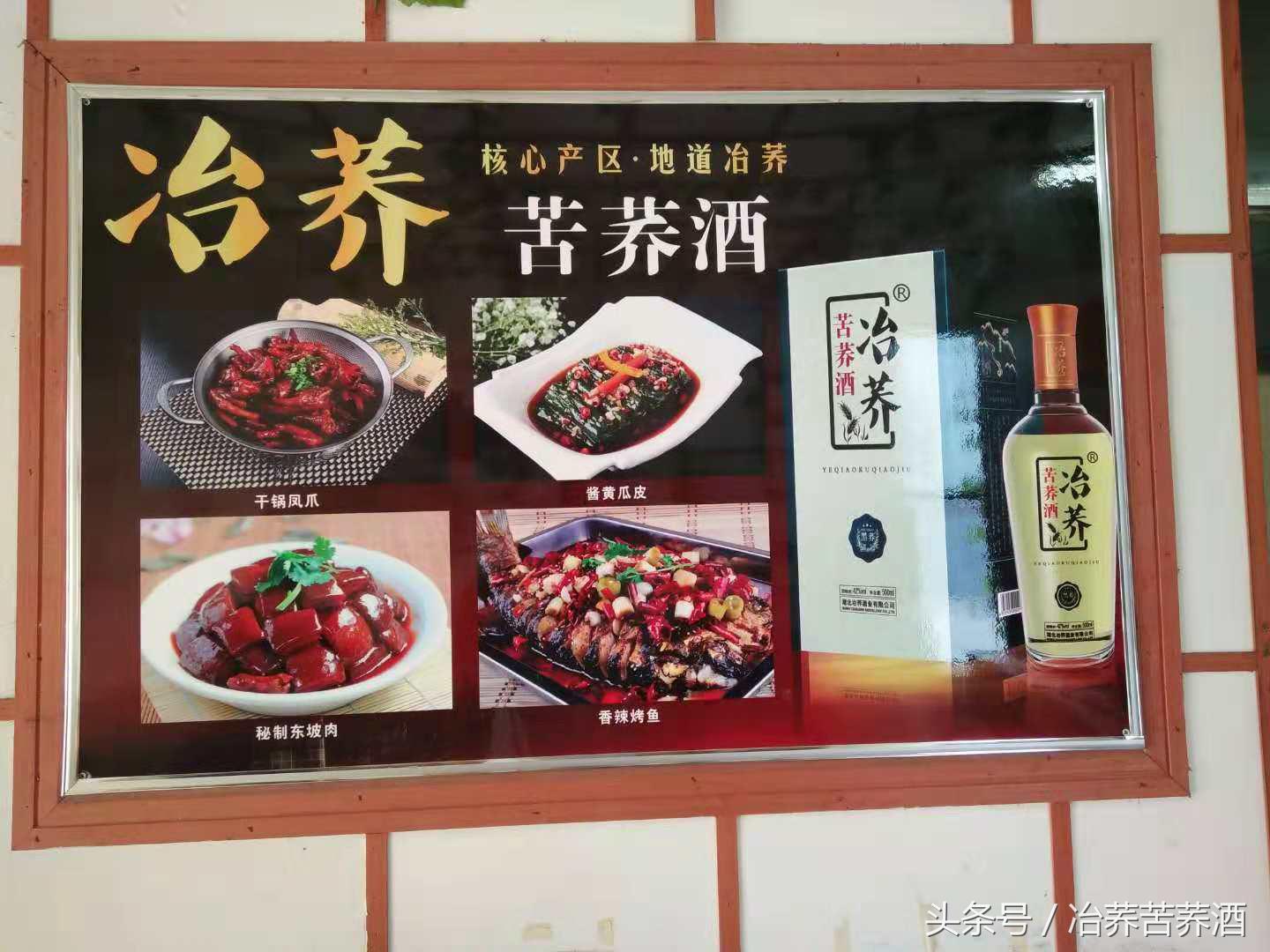 探秘荞酒核心产区，开启健康荞香之门，看“冶荞”如何势不可挡！