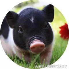 十二生肖取名十大原则是什么呢,十二生肖吉祥取名法大全表