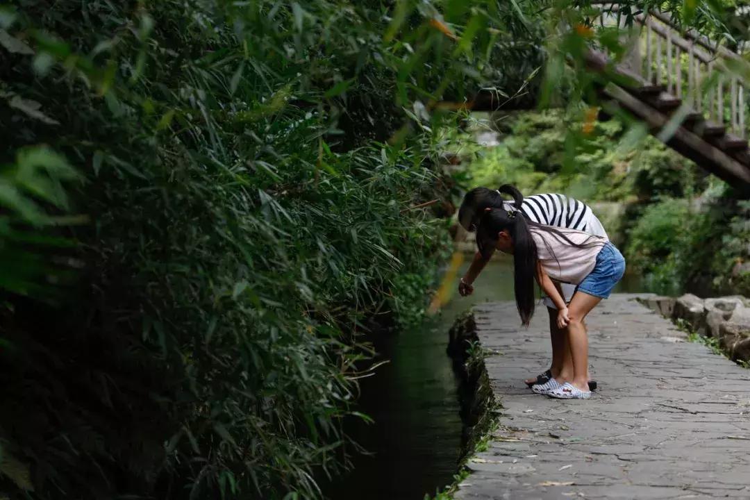 佳能eosr与r6有何区别,佳能eosr值得买吗