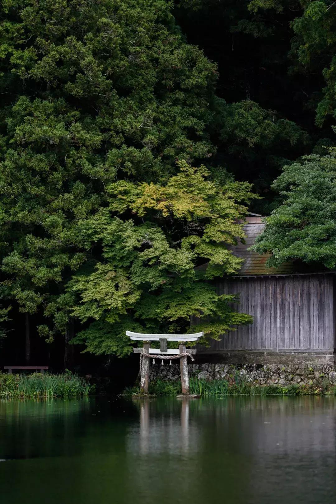 佳能eosr与r6有何区别,佳能eosr值得买吗