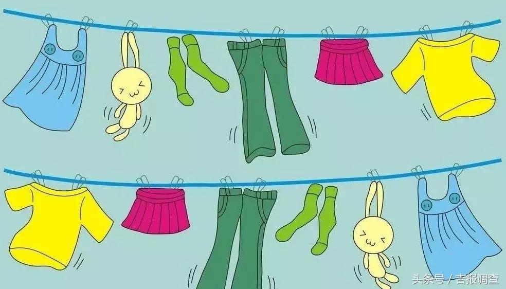 花大姐是不是益虫,花大姐益虫还是害虫