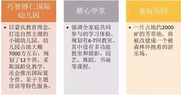 蓝城发展模式,蓝城打造的小镇