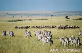 世界一生必去的56个最美的地方,带你去看全球公认最美的地方