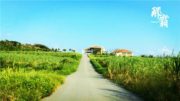 当地人推荐日本这家雪盐工厂，比冲绳县内数一数二的万座毛还美
