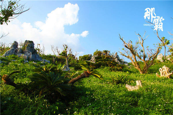 当地人推荐日本这家雪盐工厂，比冲绳县内数一数二的万座毛还美
