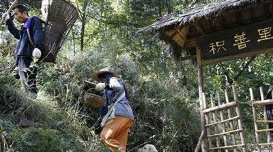 为什么隐居的人越来越多了,为什么隐居秦岭